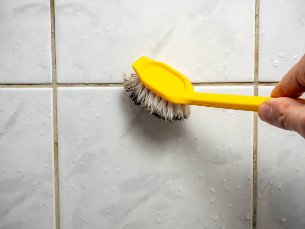 Best Mold Remediation Experts  in Gman, IL