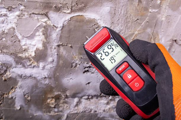 Best Certified Mold Removal  in Gman, IL
