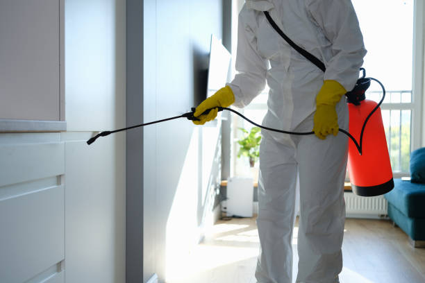 Best Commercial Mold Removal  in Gman, IL