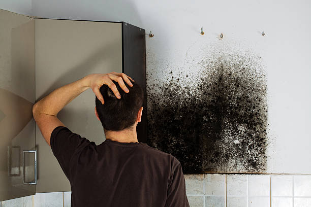 Best Mold Removal Near Me  in Gman, IL