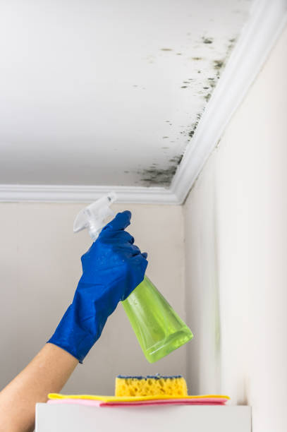 Water Damage Restoration in Gilman, IL